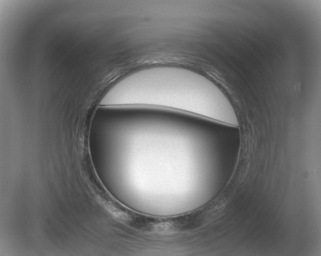 X0000080710309200612150909