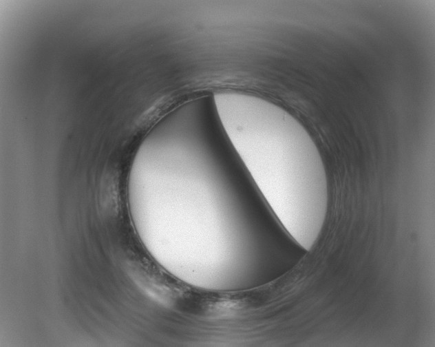 X0000080710312200612150909