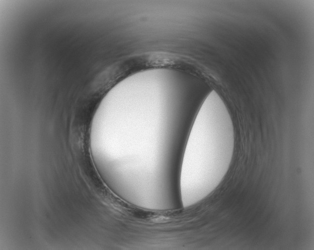 X0000080710315200612150909