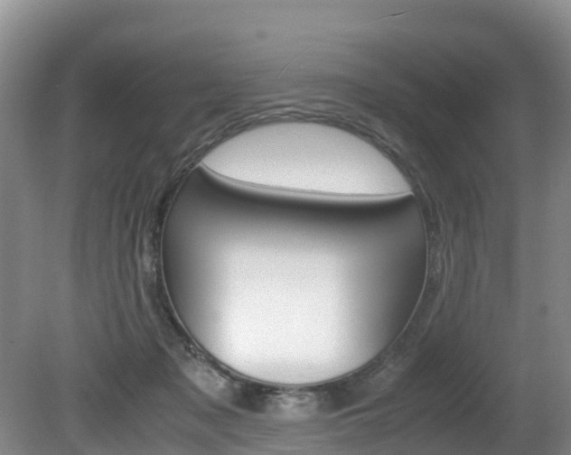 X0000080710317200612150909