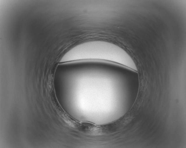 X0000080710325200612150909