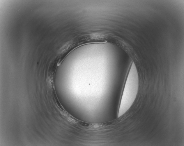 X0000080710329200612150909