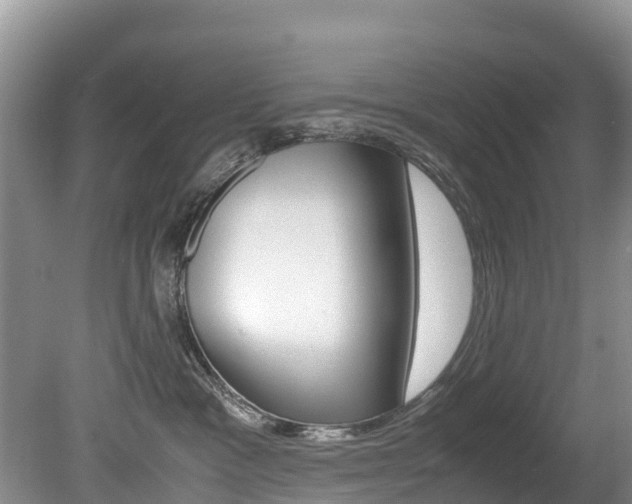 X0000080710333200612150909