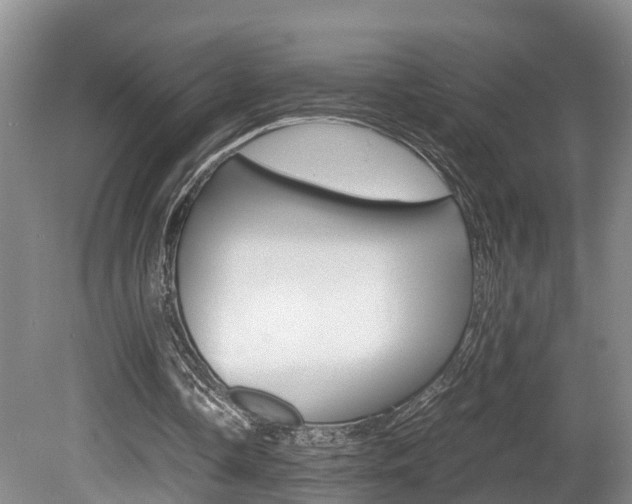 X0000080710338200612150908