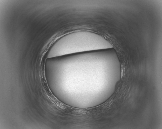 X0000080710339200612150908