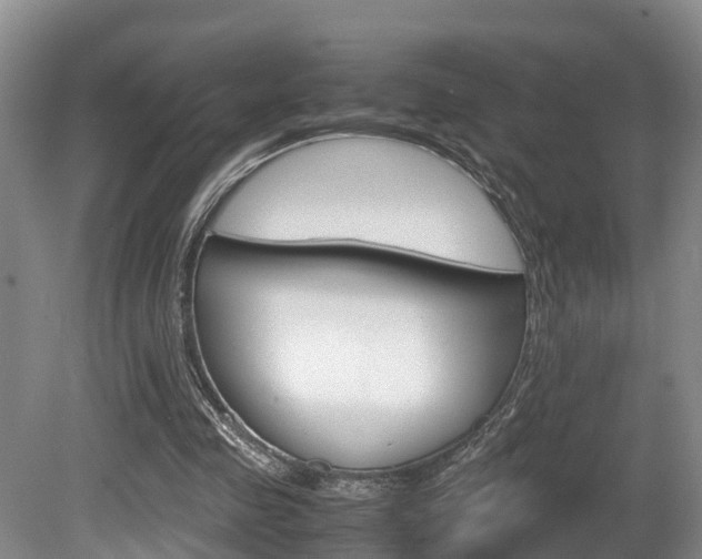 X0000080710341200612150908