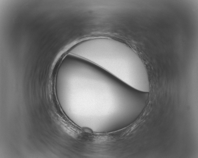 X0000080710342200612150908