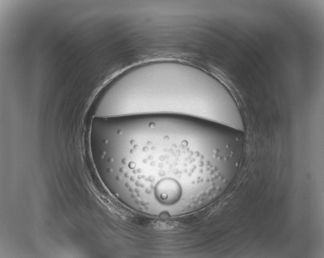 X0000080710346200612150908