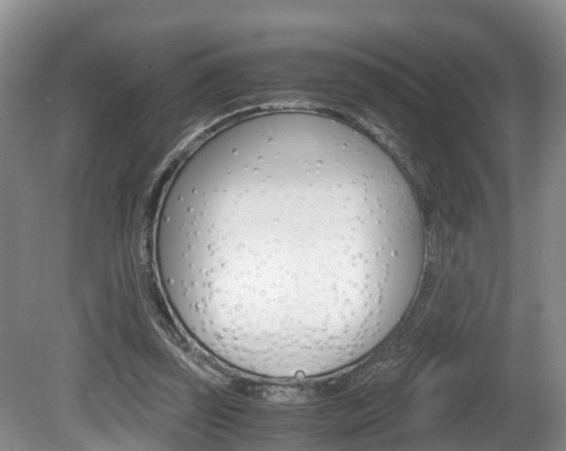 X0000080710347200612150908