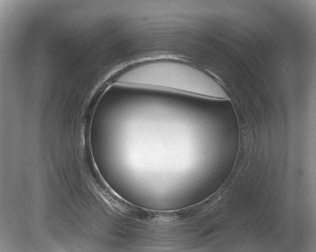 X0000080710350200612150908
