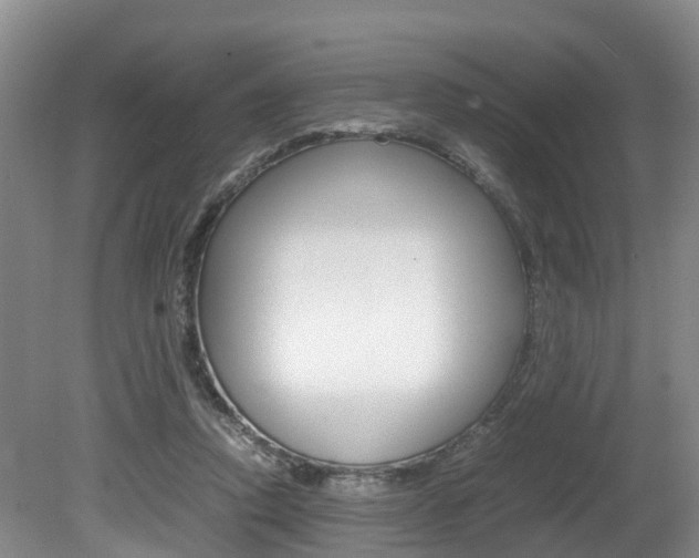 X0000080710354200612150908