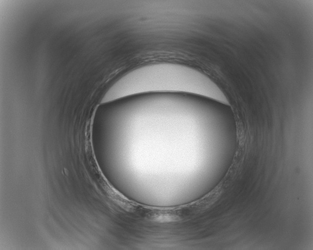 X0000080710360200612150908