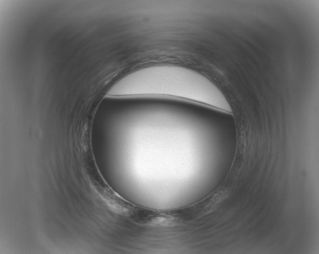 X0000080710364200612150908