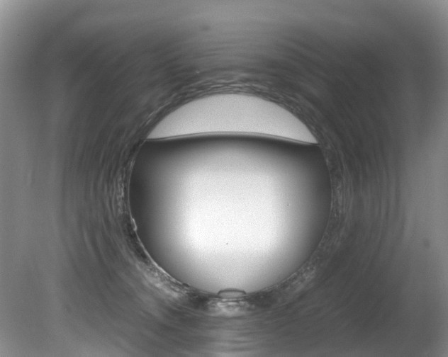 X0000080710372200612150909