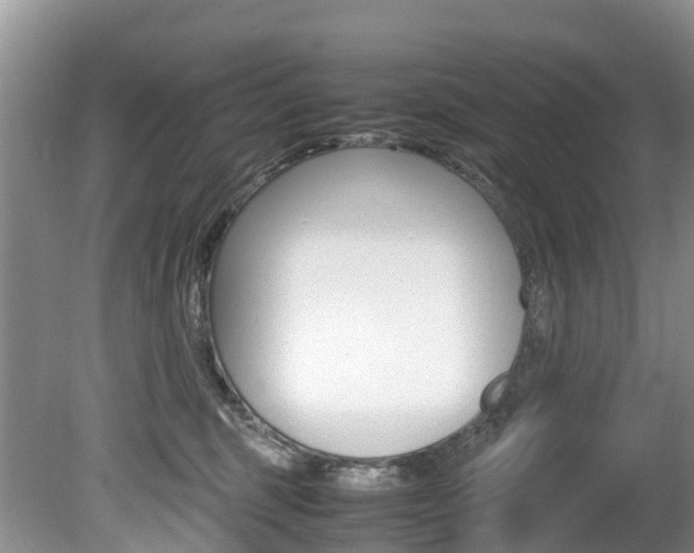 X0000080710375200612150909