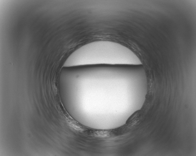 X0000080710377200612150909