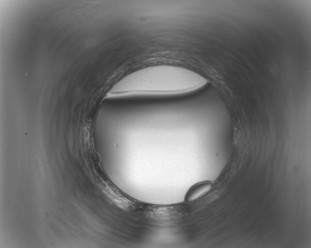 X0000080710382200612150909