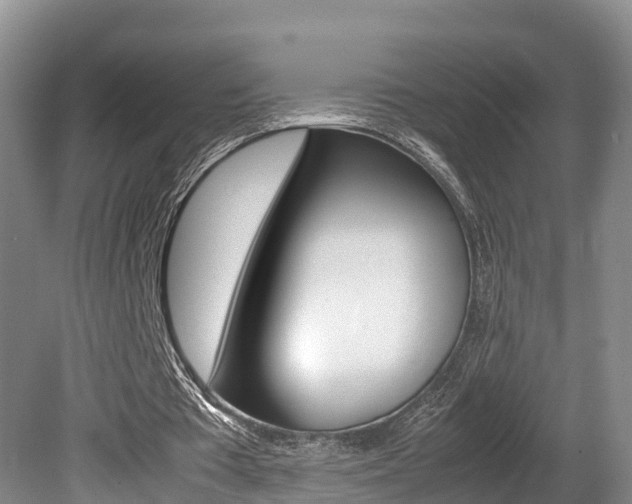 X0000080710385200612150908