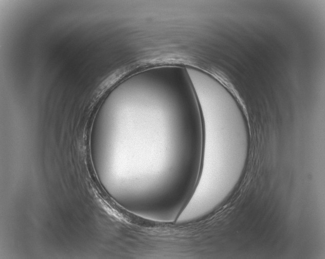 X0000080710389200612150908