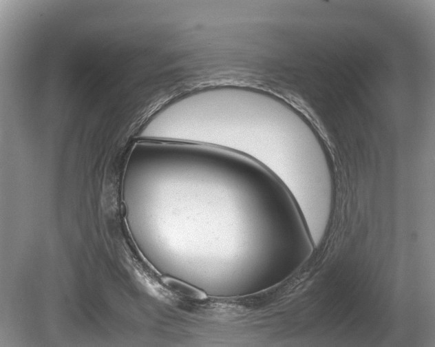 X0000080710393200612150908
