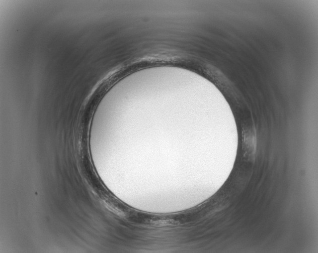 X0000080710396200612150908