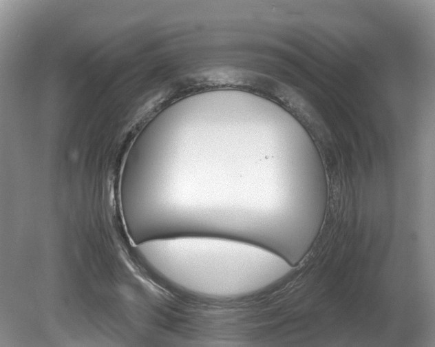 X0000080710398200612150908