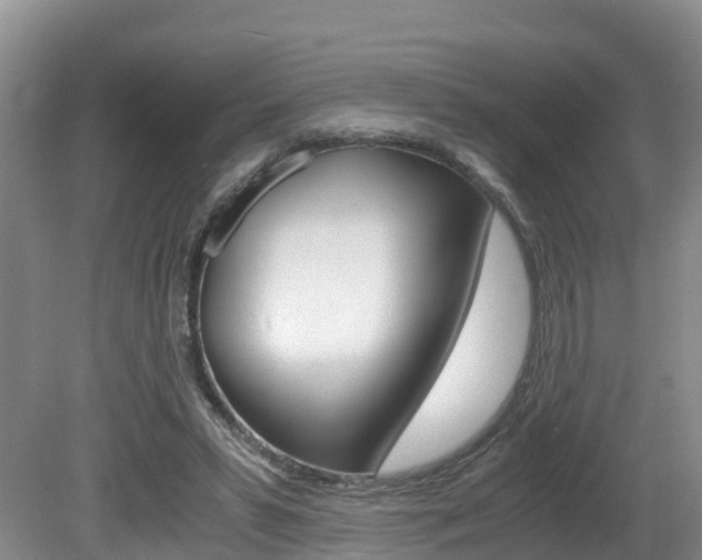 X0000080710399200612150908