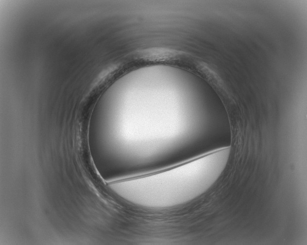 X0000080710400200612150908