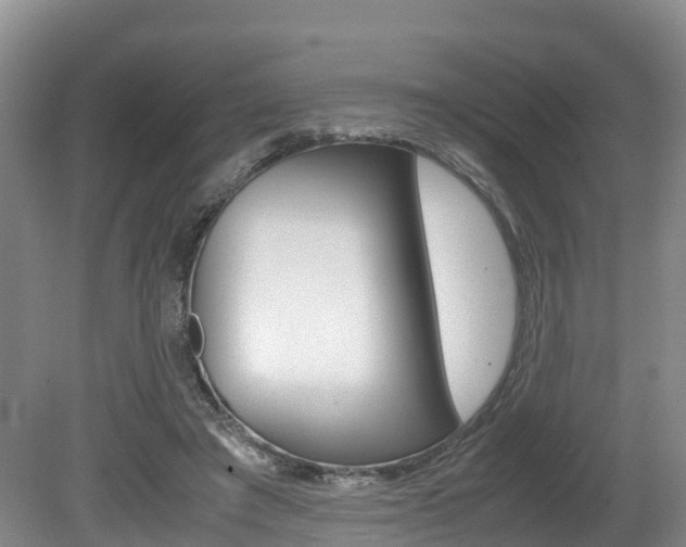 X0000080710401200612150908