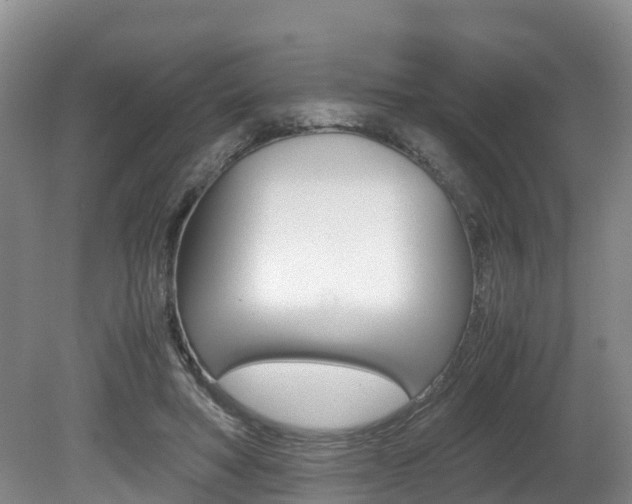 X0000080710402200612150908