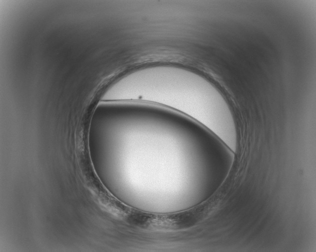 X0000080710403200612150908