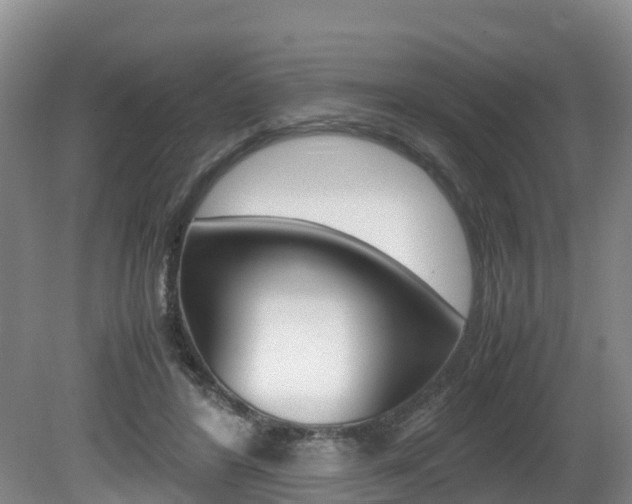 X0000080710404200612150908