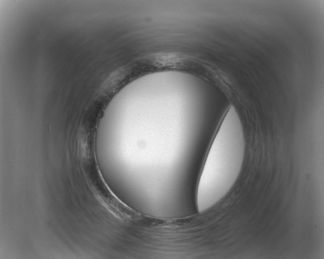 X0000080710408200612150908