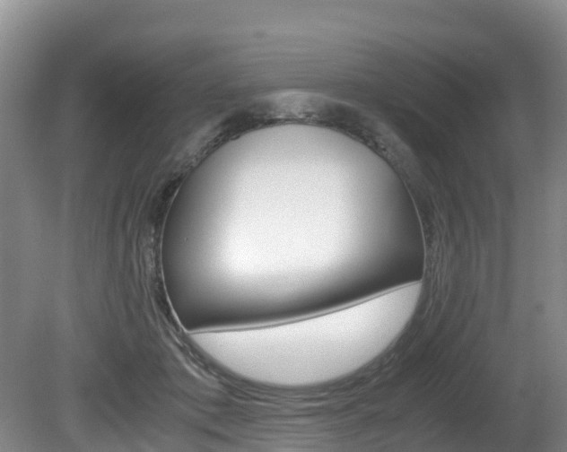 X0000080710413200612150908