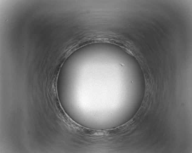 X0000080710415200612150907