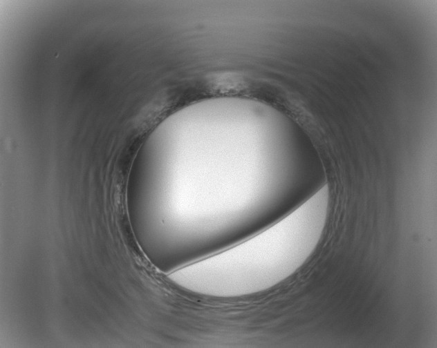 X0000080710417200612150907