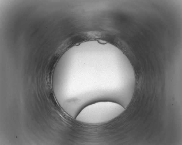 X0000080710418200612150907