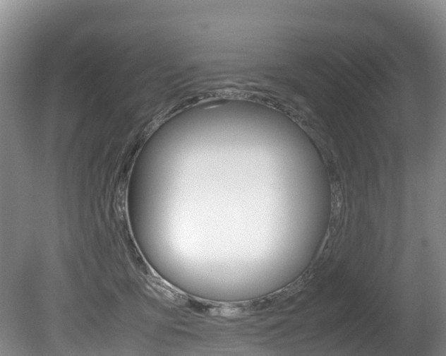 X0000080710419200612150907