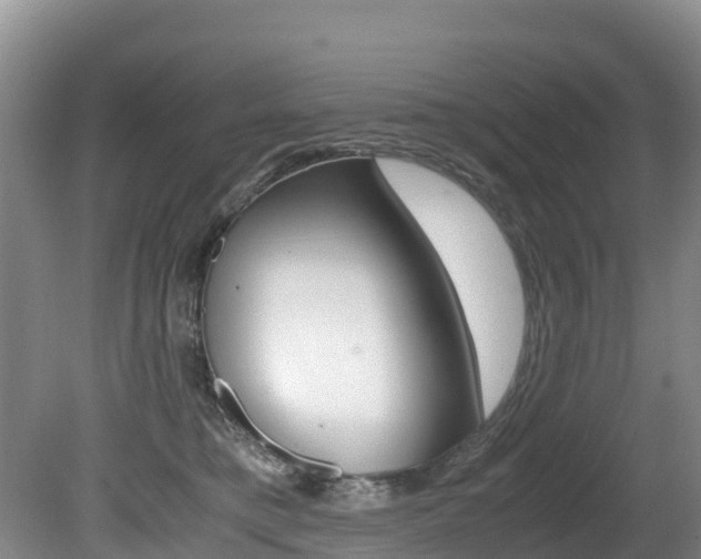 X0000080710421200612150907