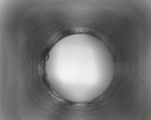 X0000080710422200612150907