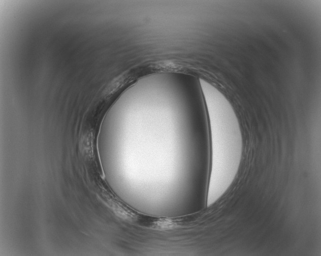 X0000080710425200612150907