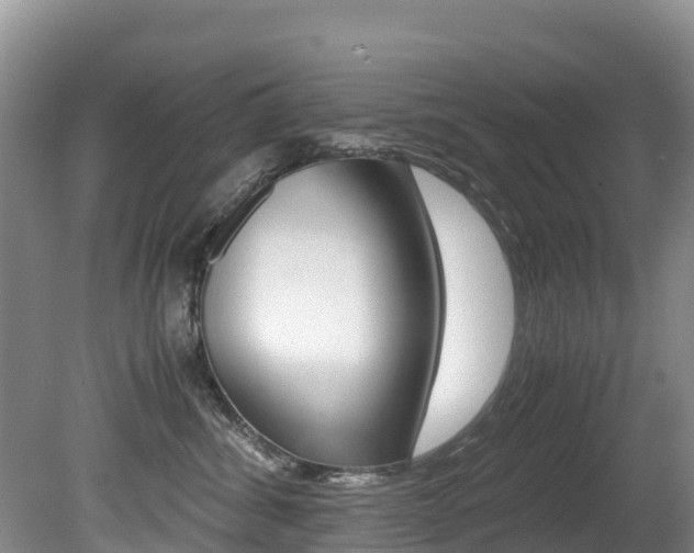 X0000080710428200612150907