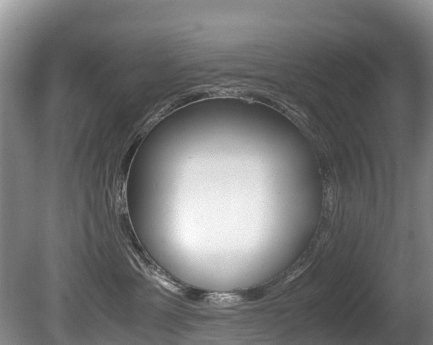 X0000080710429200612150907
