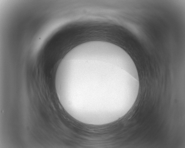 X0000080710431200612150907