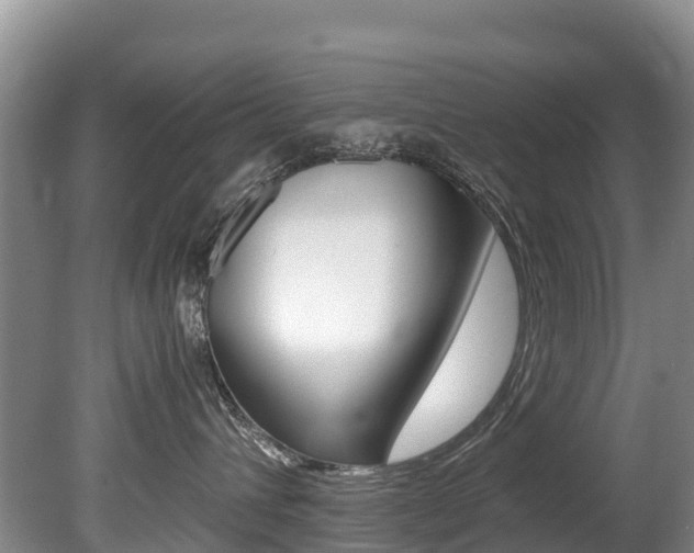 X0000080710432200612150907