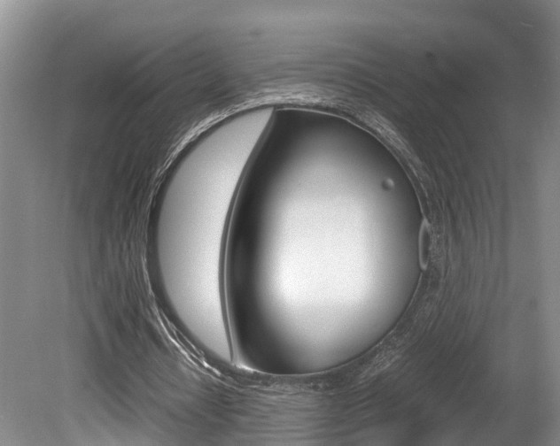 X0000080710434200612150906