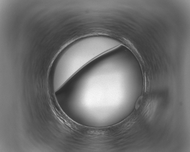 X0000080710435200612150906