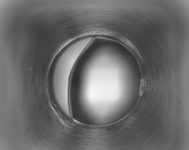 X0000080710436200612150906
