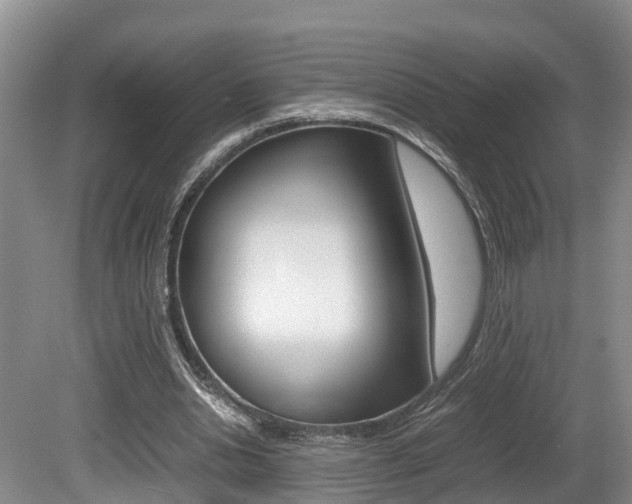 X0000080710438200612150906