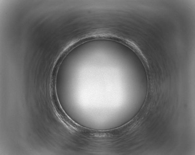 X0000080710439200612150906